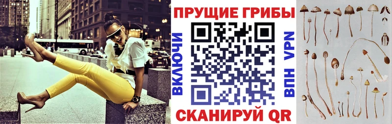 Псилоцибиновые грибы Magic Shrooms Котово